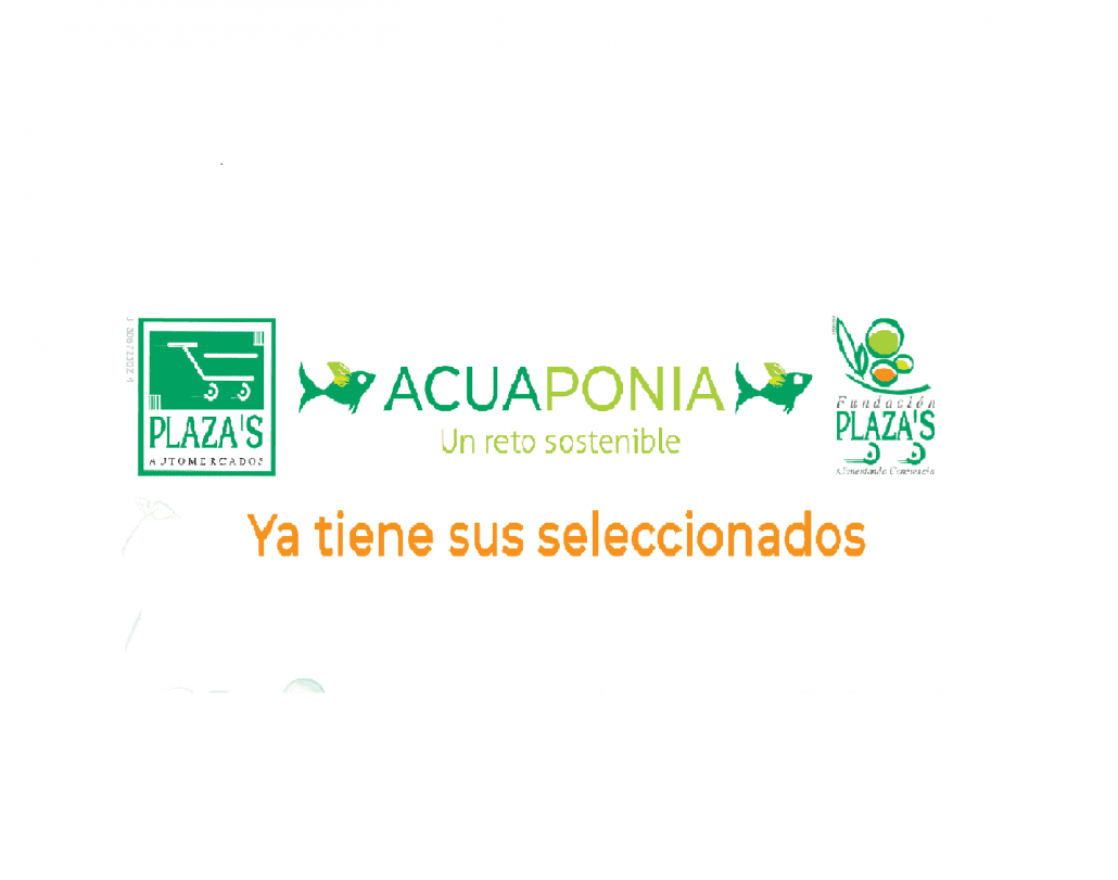 Caracas.- 10 de enero de 2020.- Seis equipos se sumaron a nuestra iniciativa en alianza con Automercados Plazas de Acuaponia, un reto sostenible y nos la pusieron difícil para seleccionar a los ganadores, debido a su talento y elevado nivel de preparación.
Hoy, tres proyectos son los que encabezan esta primera edición de Acuaponia, un reto sostenible. Conócelos??

1️⃣Acuaponia Las Tr